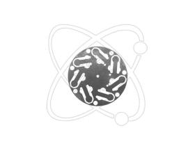 ElectroAuto 26E0753 - PLACA VALVULAS DESCARGA DENSO